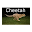 Cheetah - Full Version Download on Windows