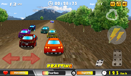 Rally Race