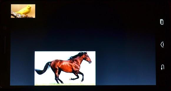 Baby Sounds Screenshots 0