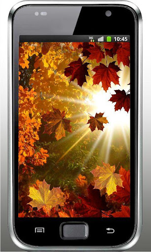 【免費個人化App】Autumn Sun HD live wallpaper-APP點子