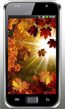 Autumn Sun HD live wallpaperのおすすめ画像4