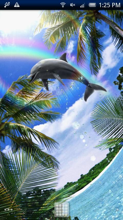 Dolphin Rainbow Screen 2