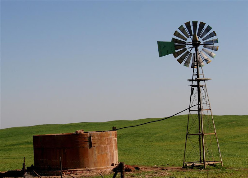 OneStonedCrow: Windpompe - What's in a Name?
