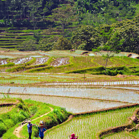Back Home by Agung Setiawan - People Professional People