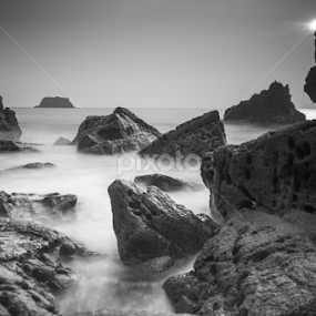 Among the Coral Reefs by Alfi Nurulhida - Black & White Landscapes