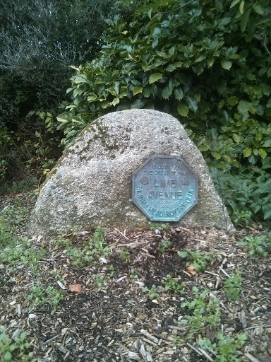 Memorial Stone to the Great Storm of 1987