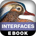 Designing Interfaces, 2E logo