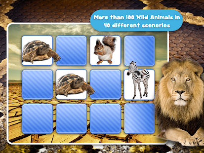 Memory Wildlife Photo For Kids Screenshots 9