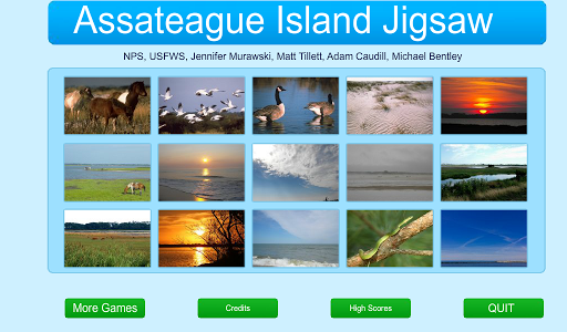 Assateague Island Jigsaw