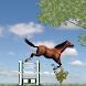 Jumping Pony