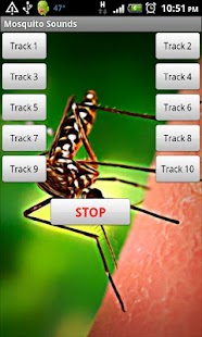 How to get Mosquito Sound Effects patch 1.0 apk for android