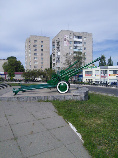 Cannons in Svetlovodsk