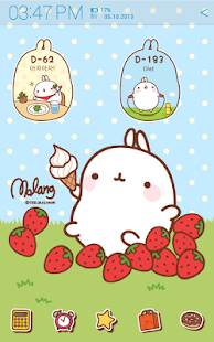 [Sale] Molang Ani D-day Widget