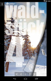 the forest-kiosk poster 5