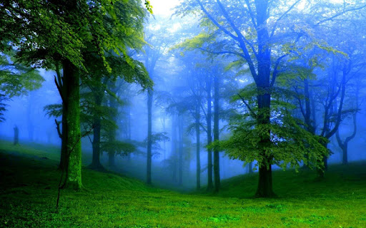 Green Forest