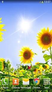 How to download Sunflowers Live Wallpaper 1.3 apk for pc