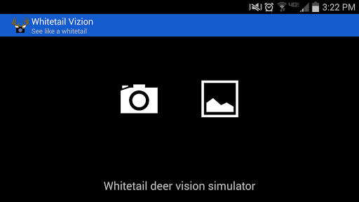 Whitetail Vizion