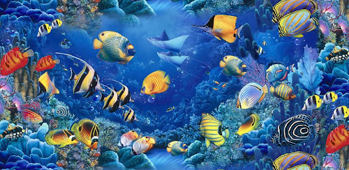 Flying fish 1.2