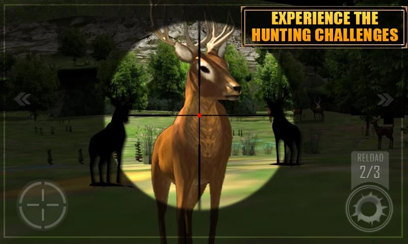 Deer Hunting - screenshot