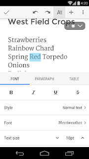 Google Docs screenshot