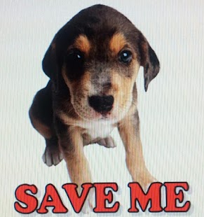 Download SAVE ME PLEASE APK for PC