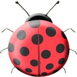 Insectos Screenshots 0