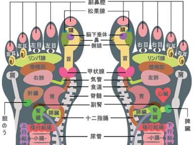 【ベストコレクション】 足つぼ 図 193654-足つぼ 図 英語