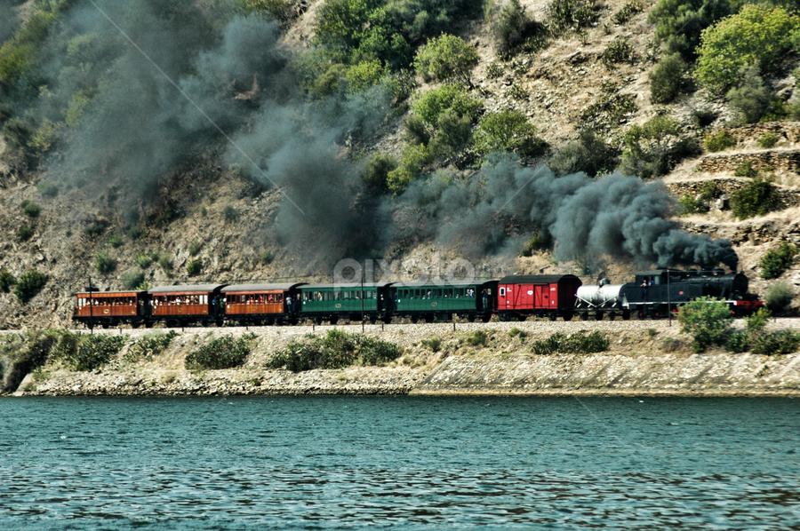 Douro Train by Antonio Amen - Transportation Trains
