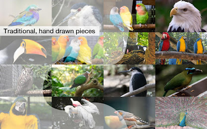 Bold Birds Jigsaw Puzzles Demo poster 3