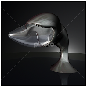 Dolphin lamp by Goran Lee - Illustration Products & Objects