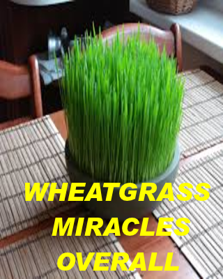 Wheat Grass Overall Benefits