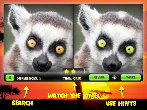 【免費解謎App】Find difference animals images-APP點子