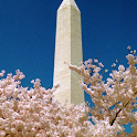 Washington, DC: A to Z