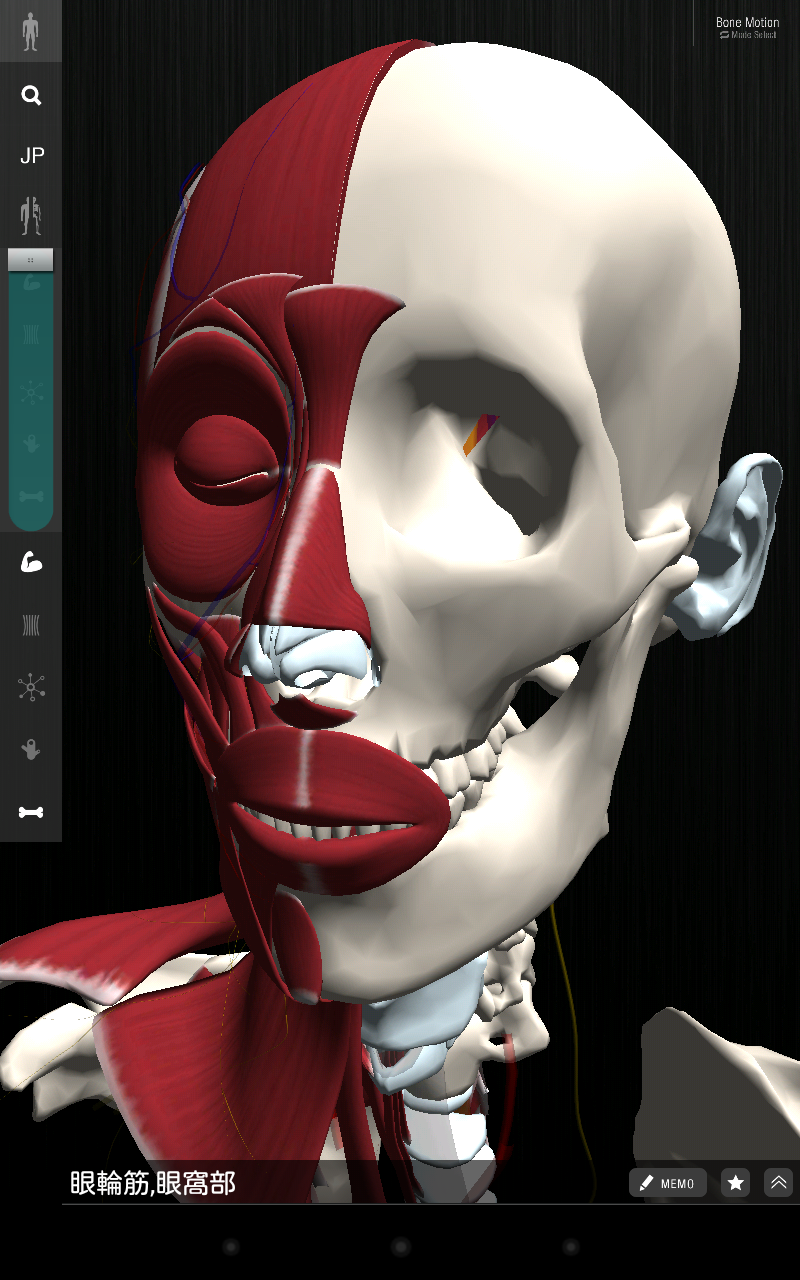 Android application teamLabBody Lite screenshort