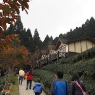 山上人家森林農場
