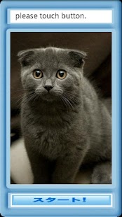 Free Download スコティッシュフォールドジグソウ APK for Android