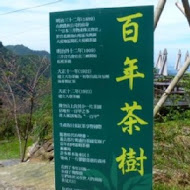 台灣農林熊空茶園