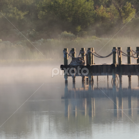 Foggy Morning by Christie Chambers - Landscapes Waterscapes