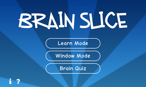 Brain Slice 3D