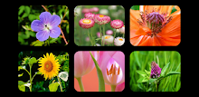 Flower Jigsaw Puzzles by Don Becker APK