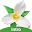 Washington Wildflowers Intro Download on Windows