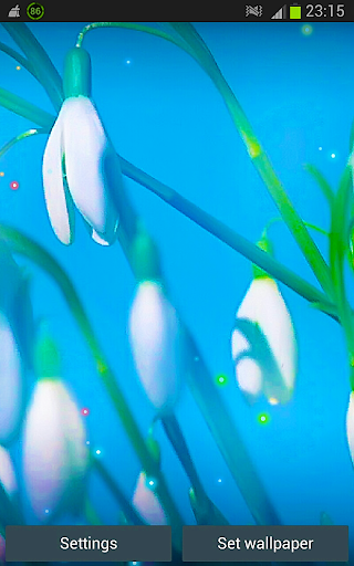 免費下載個人化APP|Flowers HD Live Wallpapers app開箱文|APP開箱王