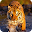 Tiger Wallpaper Download on Windows