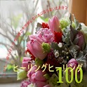 100癒し logo