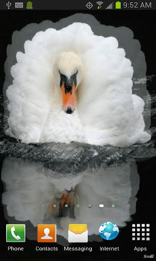 【免費個人化App】White Swan Live Wallpaper-APP點子