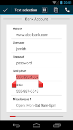 Password Manager poster 7