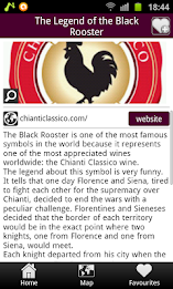 toomuchradda poster 5