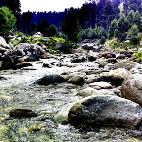 Yusmarg Kashmir by Aijaz Mattoo - Landscapes Waterscapes
