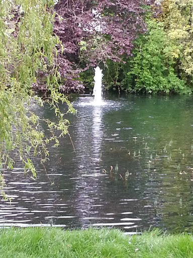 Japanese Gardens Lake Fountain
