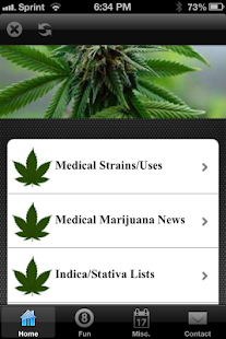 Medical Marijuana Guide News